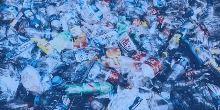 plastic bottles in landfill