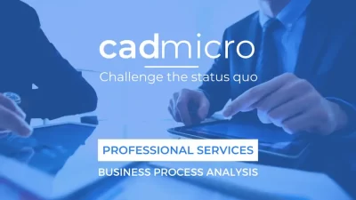 CAD Micro professional services business process analysis